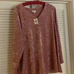 Elver style blouse with V-neck in a light mauve color. J Jill